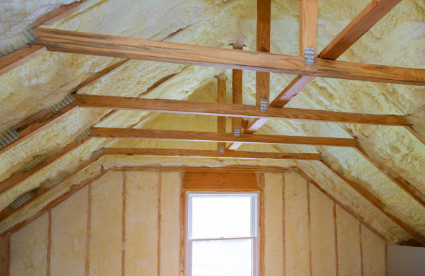 Best Insulation Removal  in Dundee, NY