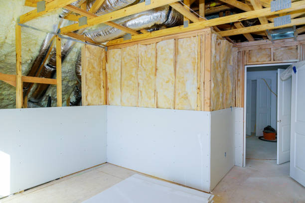Best Insulation Repair Services  in Dundee, NY
