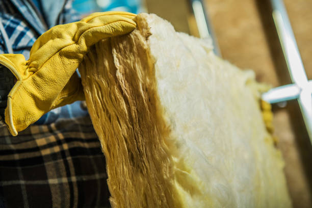 Best Wall Insulation Contractor  in Dundee, NY