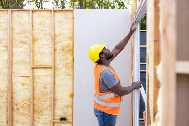 Best Home Insulation Services  in Dundee, NY