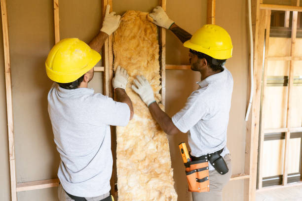 Best Fiberglass Insulation  in Dundee, NY