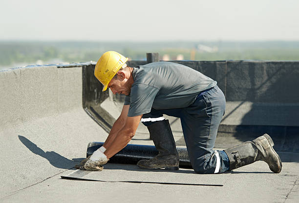 Best Attic Insulation Installation  in Dundee, NY