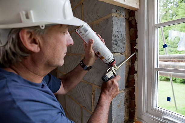 Best Home Insulation Services  in Dundee, NY