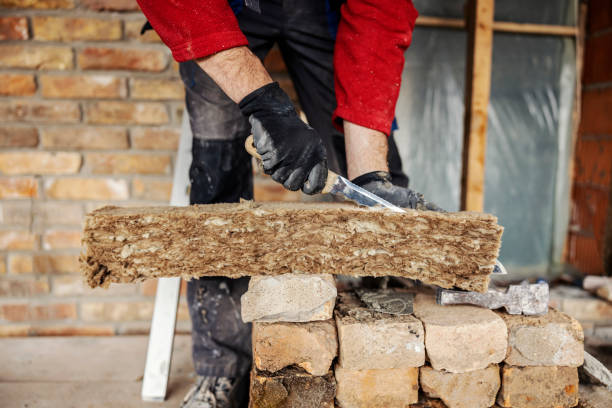 Best Professional Insulation Contractor  in Dundee, NY