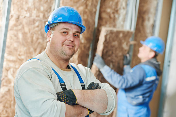 Best Insulation for New Construction  in Dundee, NY