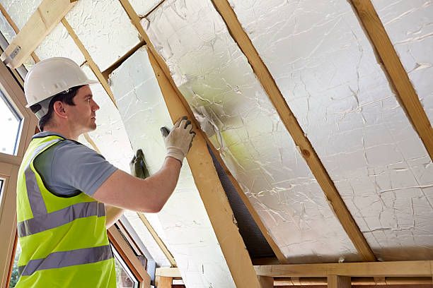 Best Blown-in Insulation  in Dundee, NY