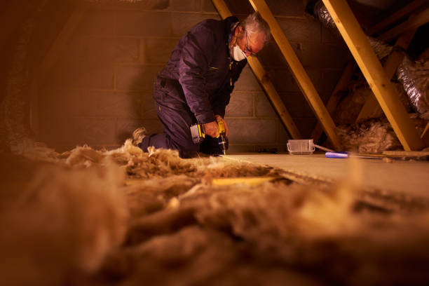 Best Insulation Replacement Services  in Dundee, NY