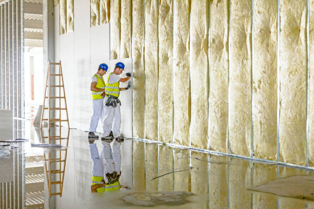 Best Spray Foam Insulation  in Dundee, NY